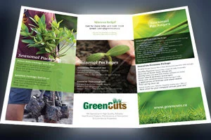 Thumbnail Image of a Brochure Design